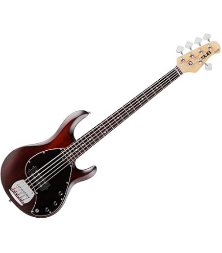 Amazon | Sterling By Musicman SUB STINGRAY RAY5 WALNUT SATIN 5弦